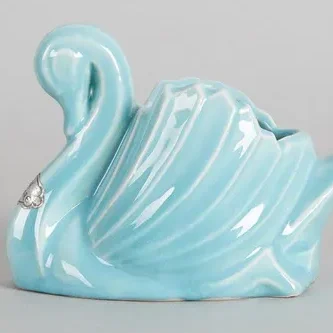Casey Ware swan